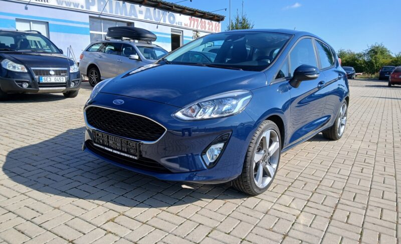 Ford Fiesta 1,1 Klima Serviska